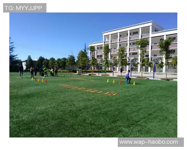 株洲县足球发展新篇章青少年培养与社区联动共创辉煌未来 株洲县足球发展新篇章青少年培养与社区联动共创辉煌未来