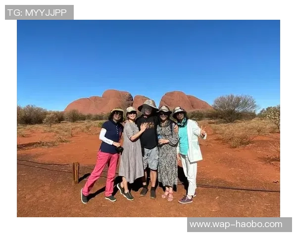 足球场变菜地的背后故事与城市绿化的奇妙结合 足球场变菜地的背后故事与城市绿化的奇妙结合